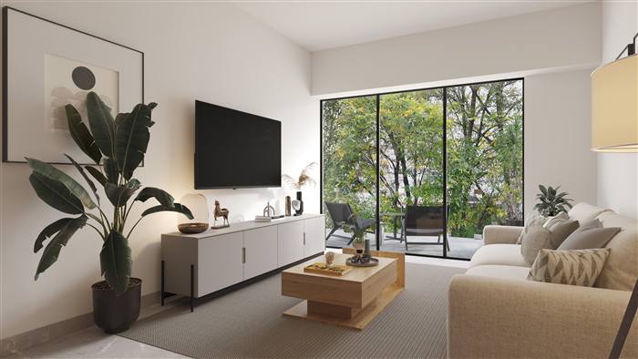 Splendor Coyoacan