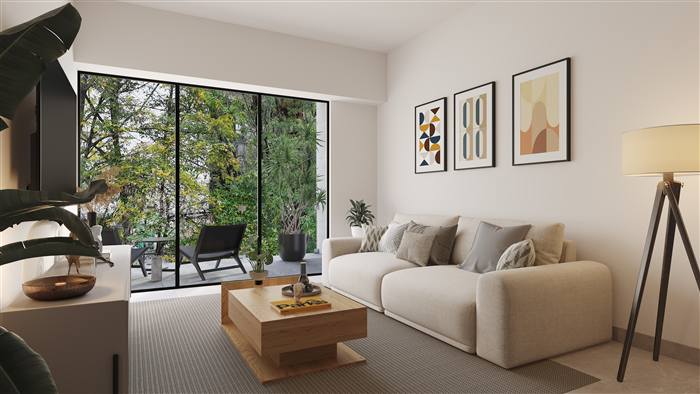 Splendor Coyoacan